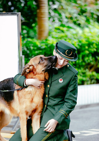 张馨予为爱犬作画