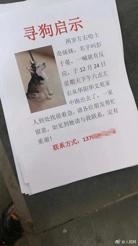 26 17:34:23 新浪娱乐 摘要:一张寻狗启事火了,女子贴启事寻找"彭于晏
