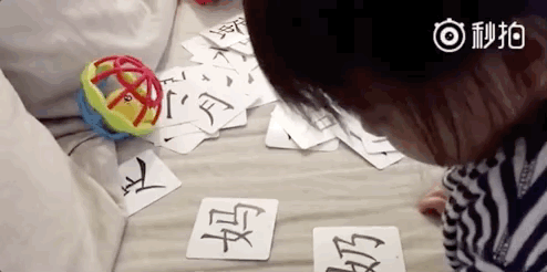 胖妹认字
