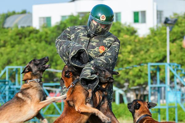 巴萨vs马德里竞技