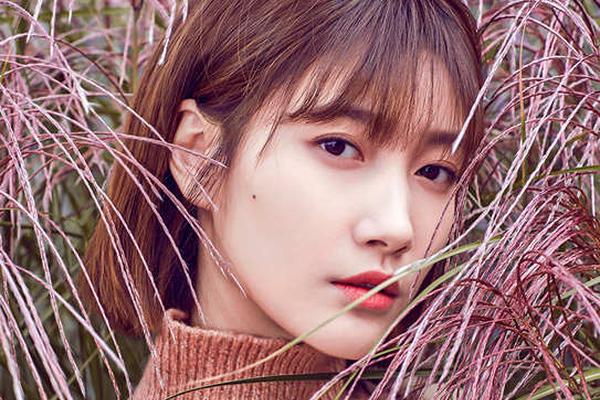 德甲球队分布图