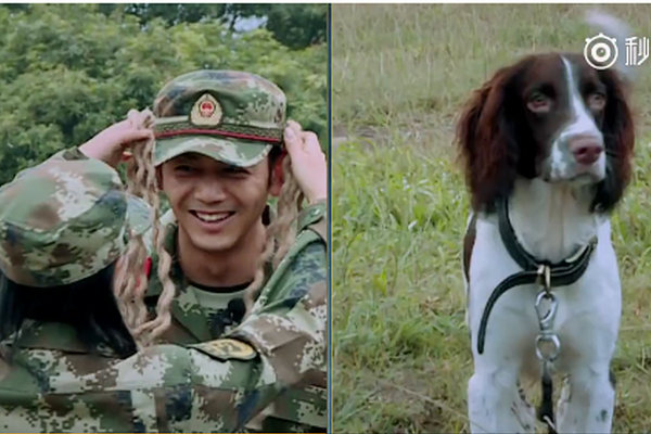 舌战-乐鱼app(leyu)官方网站-乐鱼官网