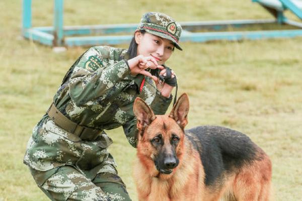 龙城杯-乐鱼app(leyu)官方网站-乐鱼官网