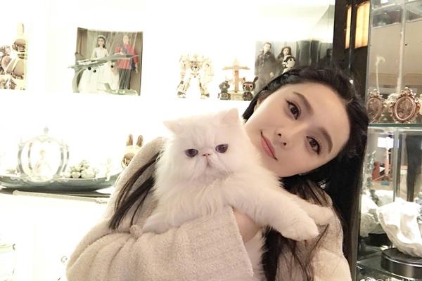 中超球队-乐鱼app(leyu)官方网站-乐鱼官网