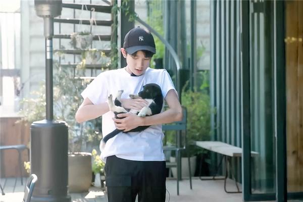 浙江卫视正在直播-乐鱼app(leyu)官方网站-乐鱼官网