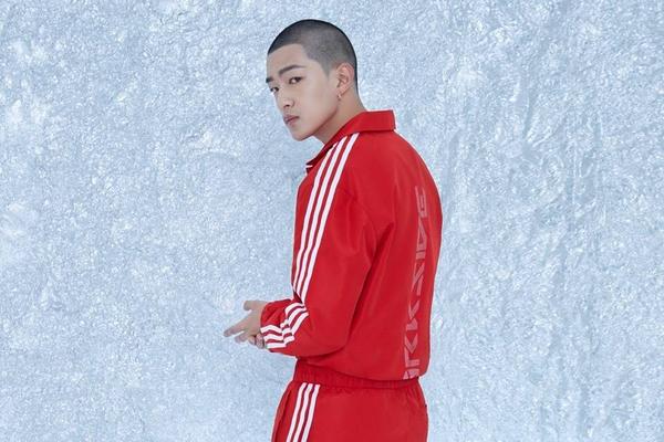 法布雷加斯转会