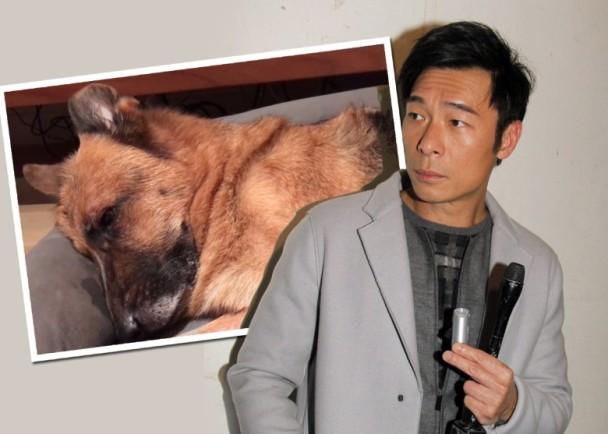 许志安和郑秀文用《其实你心里有没有我》表心