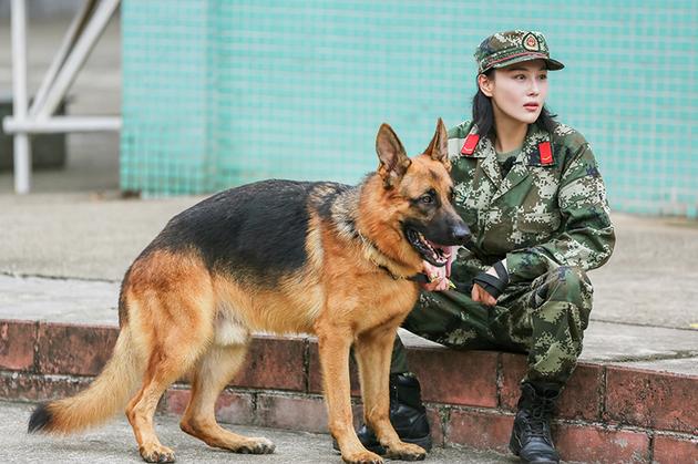 《奇犬》护主训练来袭 张馨予气急落泪冤枉爱犬