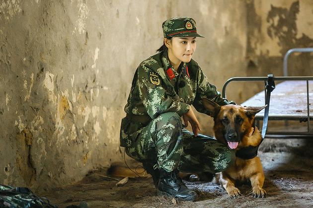 奇犬杨烁沙溢开启逗乐模式张馨予高空被困