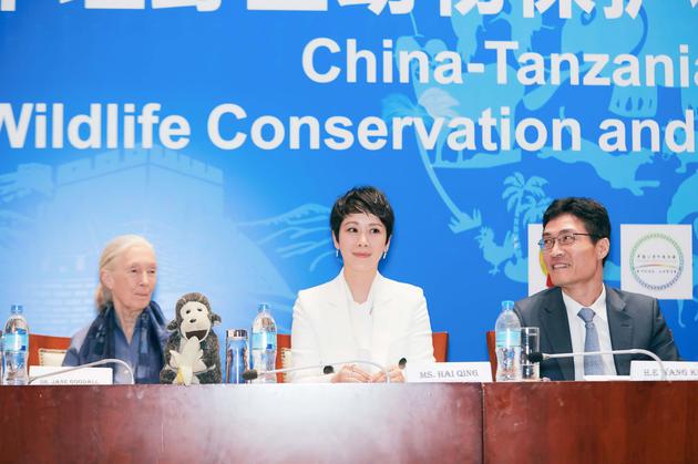 海清出席中坦野生动物保护与旅游发展论坛