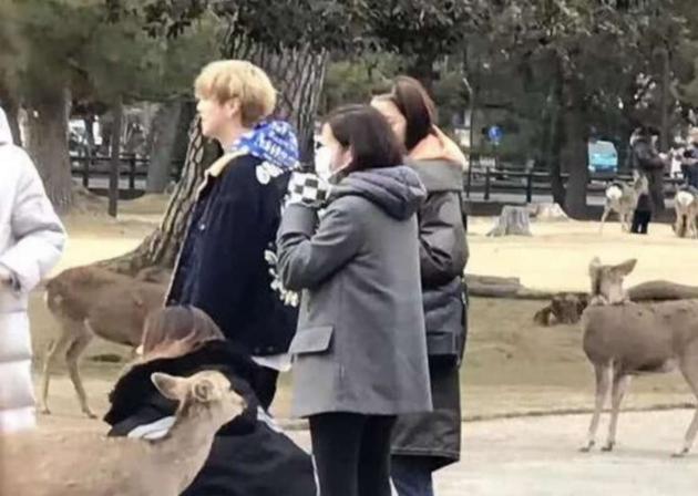 鹿晗关晓彤