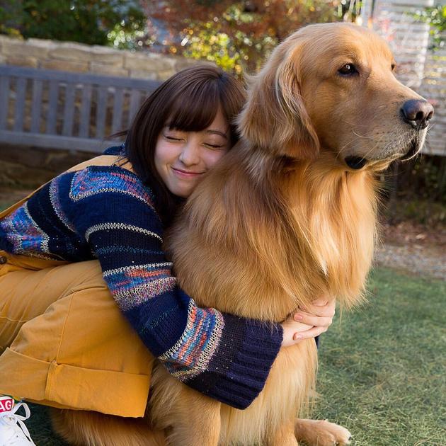 桥本环奈与狗狗合影 粉丝大赞千年一遇的写真|桥本环奈|经纪人|合影_新浪娱乐_新浪网