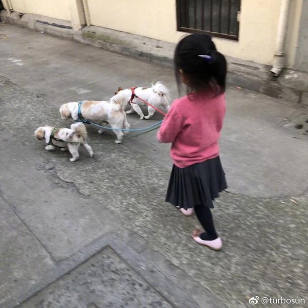 孙俪女儿小花手牵三只狗狗