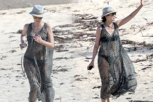 49岁邓文迪灵动如少女 透视纱裙秀美腿