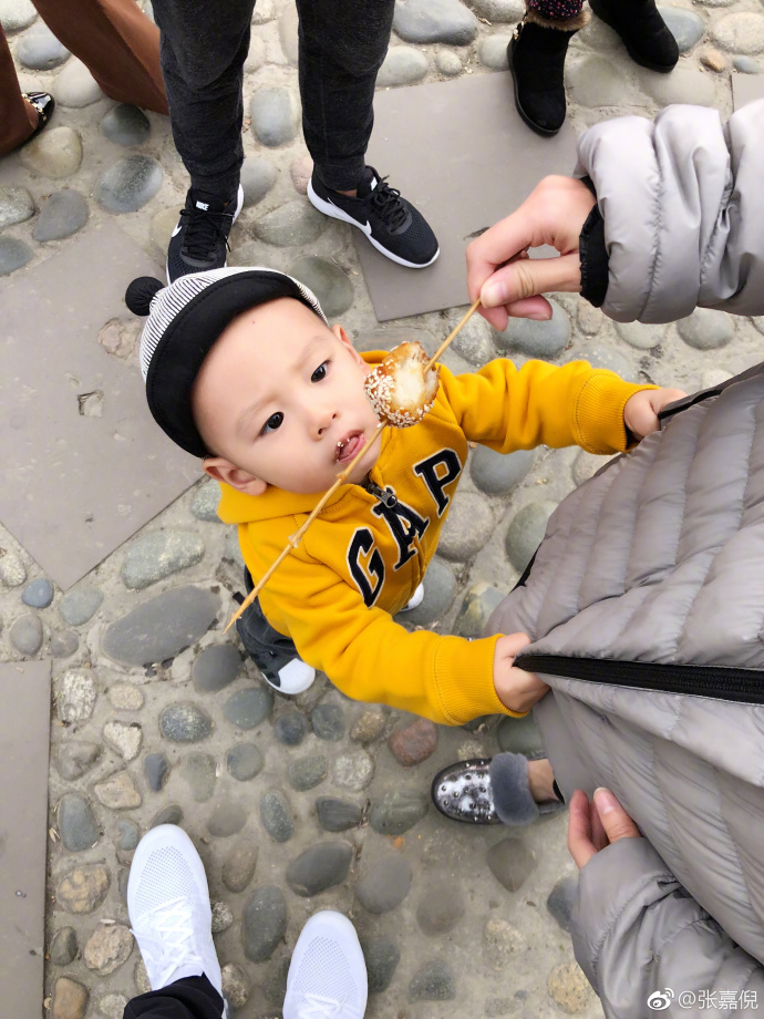 张嘉倪儿子望向糖油果子