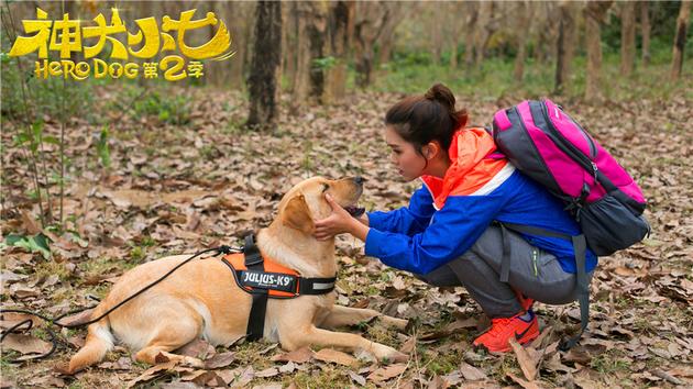 神犬小七2资料页_娱乐资料库_新浪娱乐_新浪网