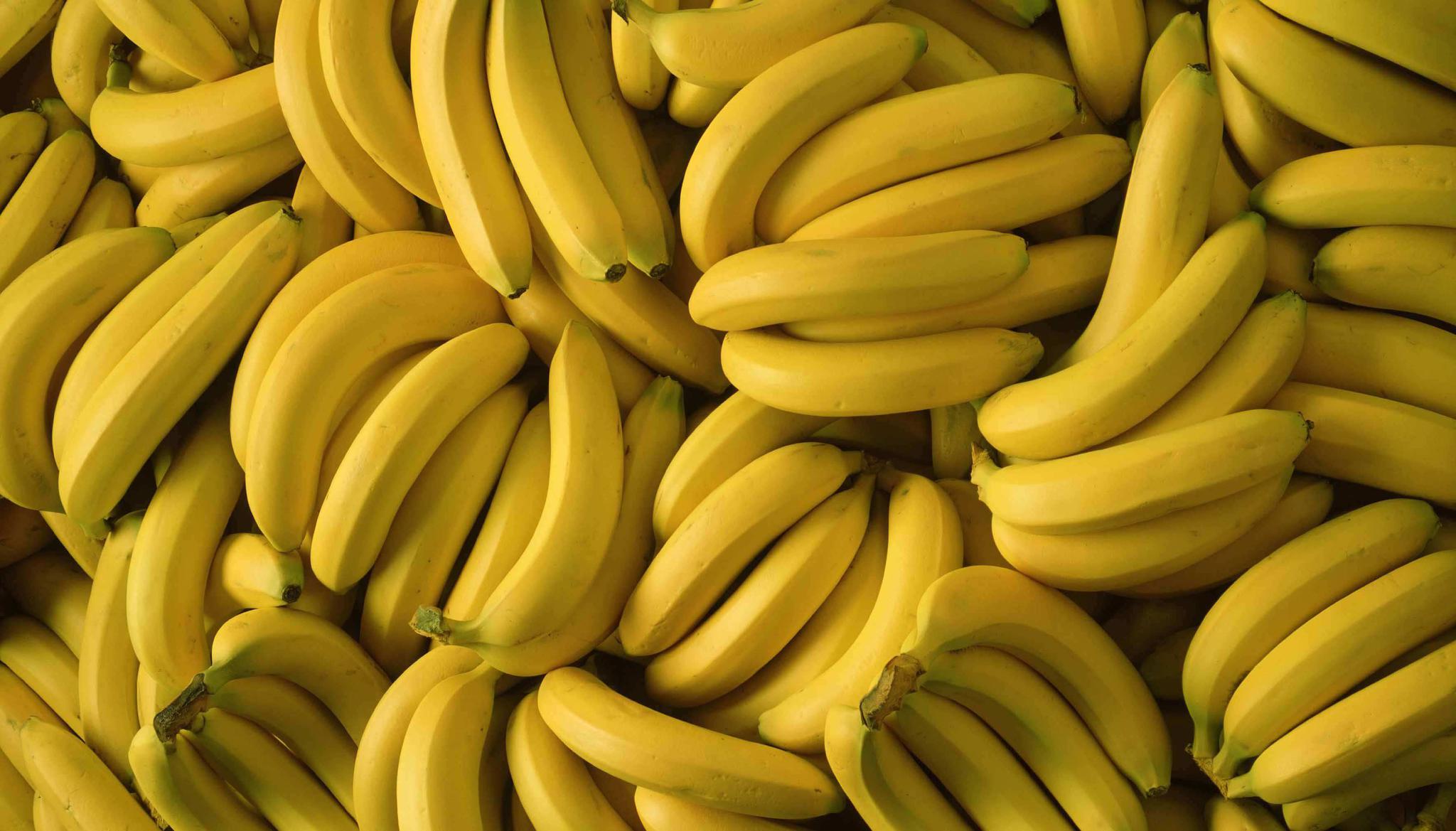法中新闻:法国人巧用香蕉：关于香蕉皮你不得不知的12个小秘密