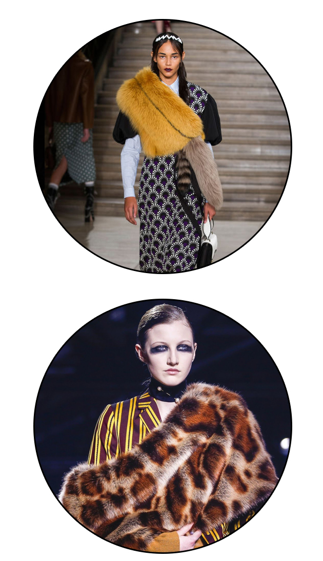 ͼmiumiu-ͼDries-Van-Noten