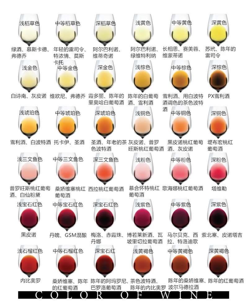 图片来源：Wine Folly