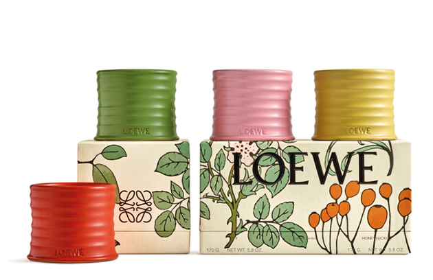 LOEWE 羅意威家居香氛綠植與花卉香精蠟燭禮盒套裝