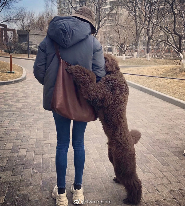 倪妮超细腿
