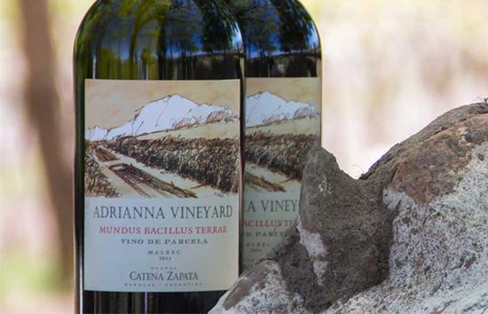 世界上最贵的酒品种 nOyO-fyskycp6907000.jpg