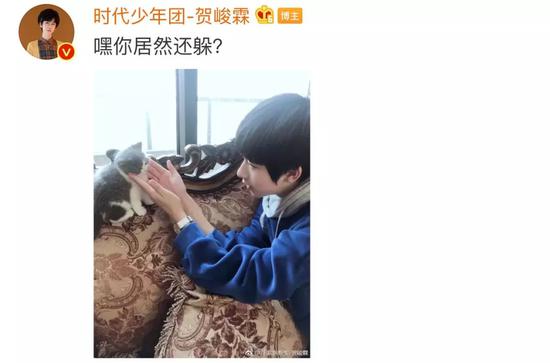 肖战胡歌李现 来领取你的猫系男友吧