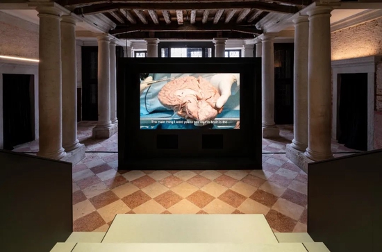  Prada 基金会在威尼斯双年展举办《人类大脑：一切始于思想》展览