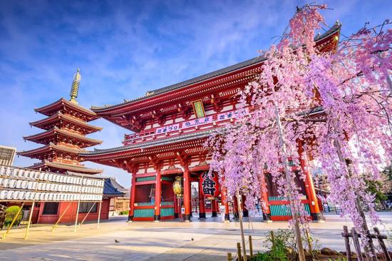 神道教人口_神道教 一个人的旅行