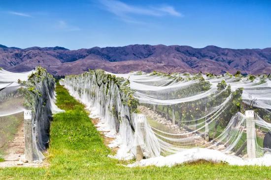 &copy;Milosz Maslanka/Shutterstock