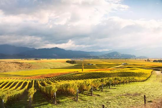 &copy;Matteo Colombo/Getty Images