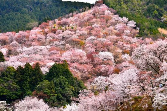 ?Showkaku Sano/500px