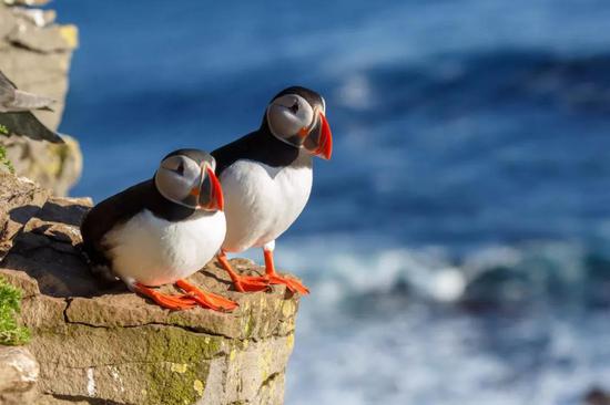 ©Menno Schaefer/Shutterstock