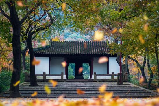 ▲图:图虫网@JIAYIJIE