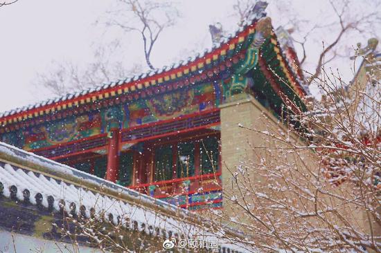 北京下雪了 去不了故宫还可以到这些地方赏雪