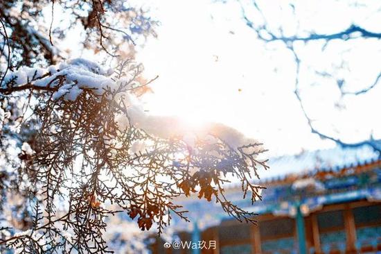 北京下雪了 去不了故宫还可以到这些地方赏雪