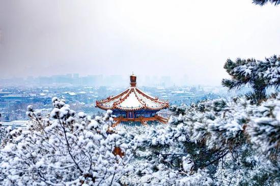 北京下雪了 去不了故宫还可以到这些地方赏雪