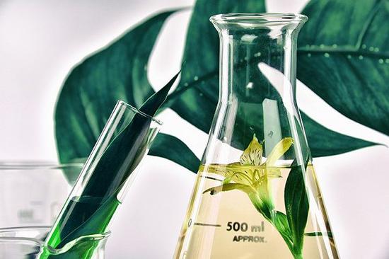 图片来源:COSMETIC DESIGN EUROPE