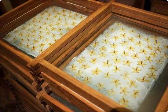 酒精挥发什么原理_酒精过敏是什么症状(2)