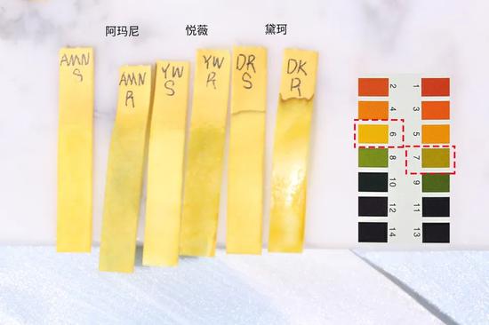 8组网红水乳大PK究竟谁会脱颖而出成为赢家? 8组网红水乳大PK究竟谁会脱颖而出成为赢家?
