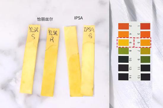 8组网红水乳大PK究竟谁会脱颖而出成为赢家? 8组网红水乳大PK究竟谁会脱颖而出成为赢家?