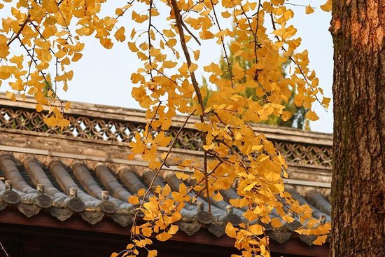 �����������У����׽�ԭ���Գ�����