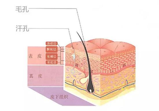 CR：图片来源网络