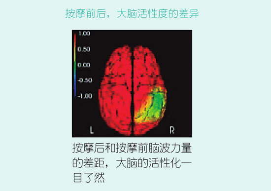 头脑清晰 还能瘦脸 30秒脸部放松按摩-幽兰花香 头脑清晰 还能瘦脸 30秒脸部放松按摩-幽兰花香