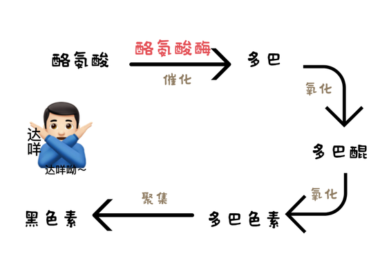 图片由canva制作