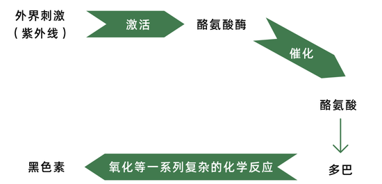 制作于canva(下同)