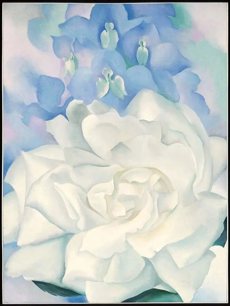  《白玫瑰与飞燕草第2号》，乔治亚·欧姬芙，1927年，布面油画