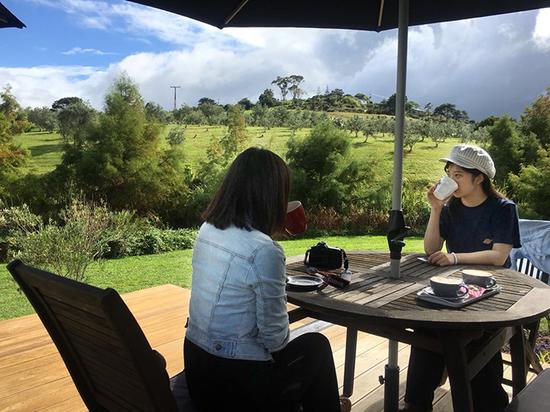 Waiheke Honey House里的露台，可以喝杯饮料小憩一下