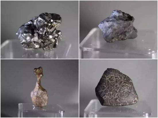 周末去哪浪?3月最值得期待的趣味亲子活动