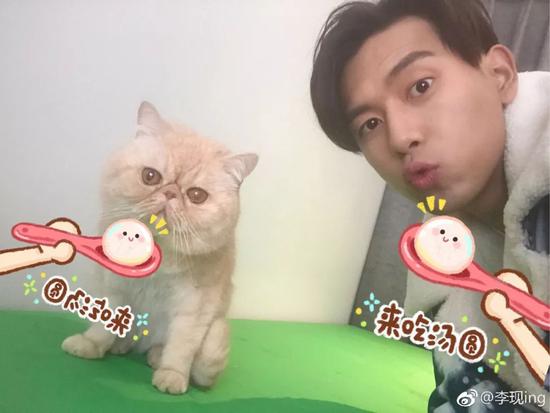 肖战胡歌李现 来领取你的猫系男友吧